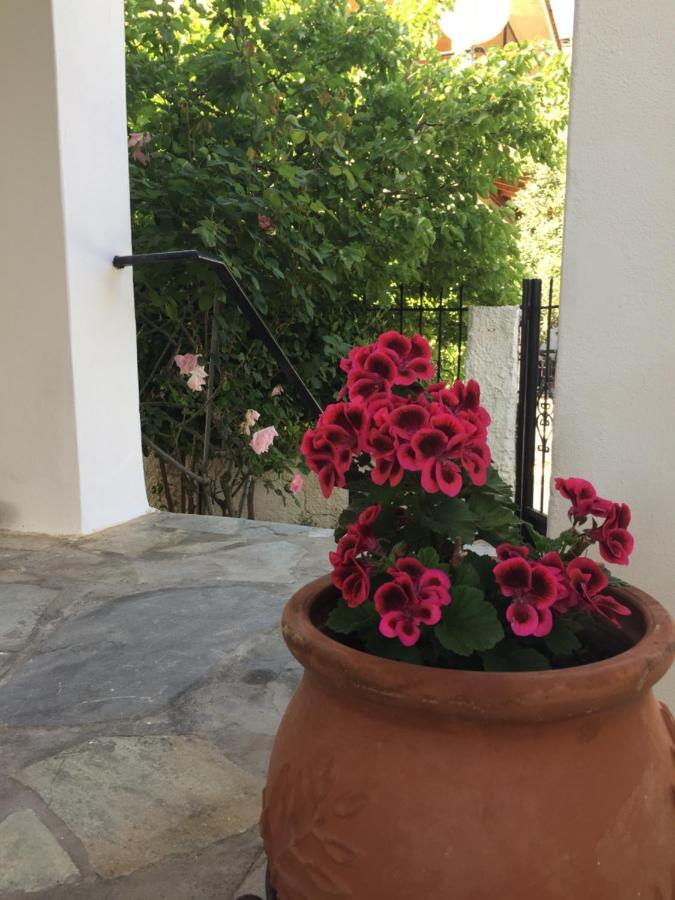 Rose'S Place Artemida  Zewnętrze zdjęcie